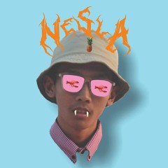 Nesla