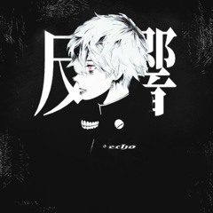 Echo反響