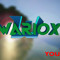 WaRioX