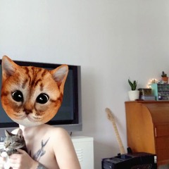 hypercat