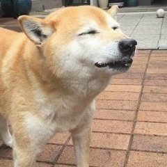 . 신강민