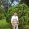 robul