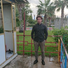 Ahmed alwrfly