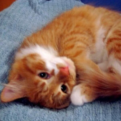 Goldfrapp- Stranger (Live Acoustic Version)