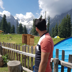 Ali Hamza