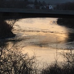 Icy