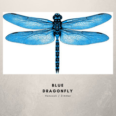 Blue Dragonfly Band
