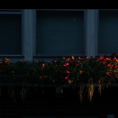 Peter James Densmore