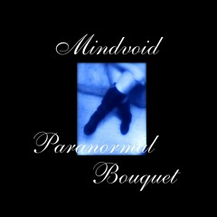 Mindvoid/Paranormal Bouquet SPLIT [EP]