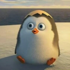 안옹옹