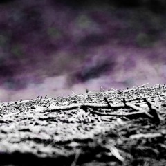 James Nicholas Reader