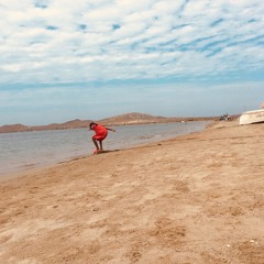 Pantha Du Prince- Frozen Fog