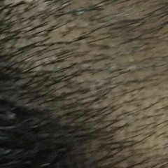 Federico García Jurado