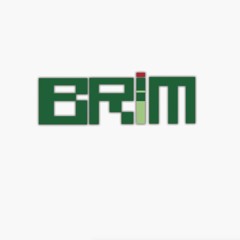 BRIM AUDIO