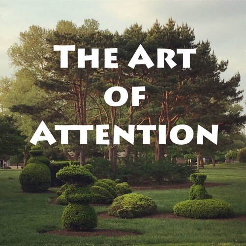 The Art of Attention’s avatar