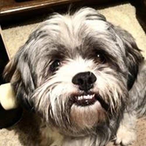 Nothing - Jeremy Passion