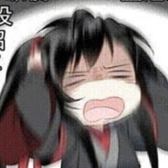 Bleh de meh