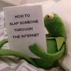 i did slap some one through the internet