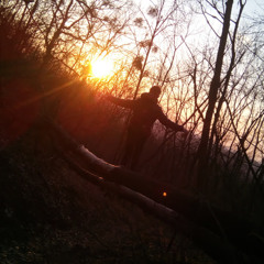 Александр Небаба