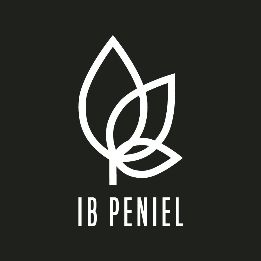 Iglesia Bautista Peniel