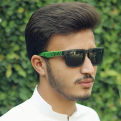 DAUD ALI