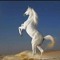 Sherif Albndary