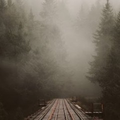 Роман Бакашев