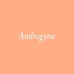 Androgyne Productions