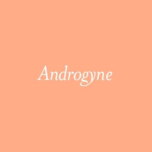 Androgyne Productions’s avatar