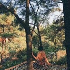 Ng H Trang