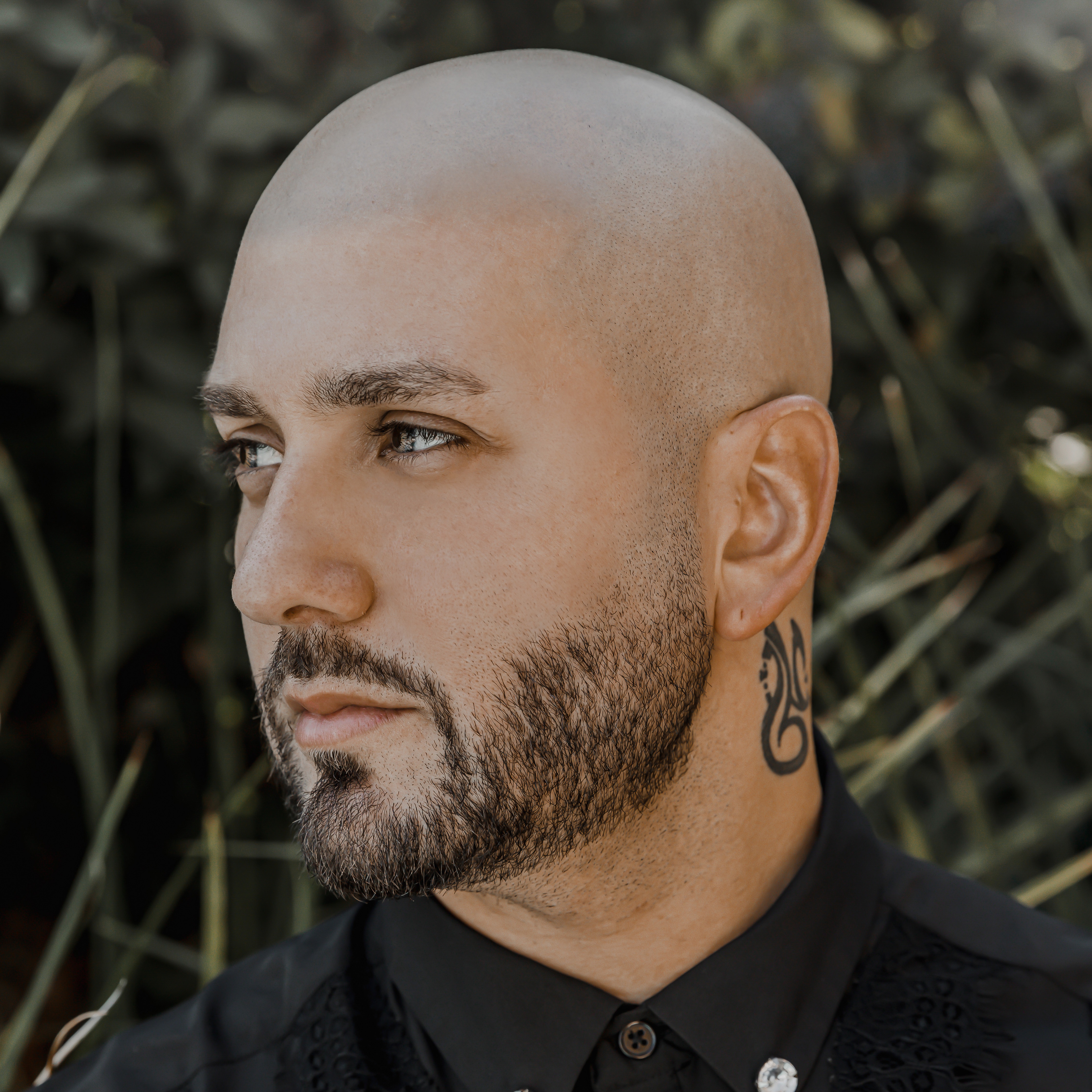 Massari