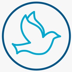 Dove Reposts 🕊