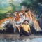 Nguyễn Minh Sơn