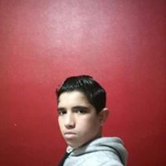 محمد الحوفي