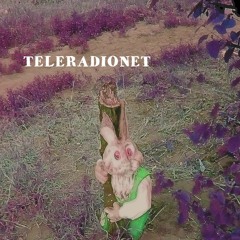 Teleradionet