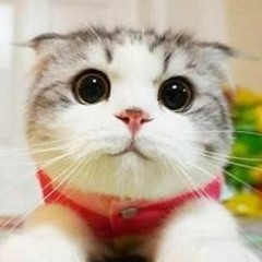 Nguyễn Hữu Phước