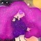 Galaxsister