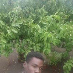 مجاهد اسماعيل محمد تاموي