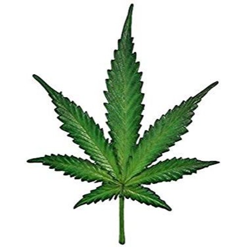 Marijuana Records’s avatar