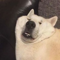dieulinh++