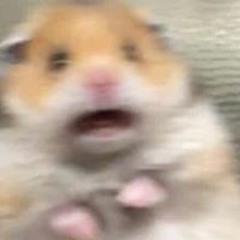 HHJIN
