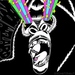 Senne Van den Broeck