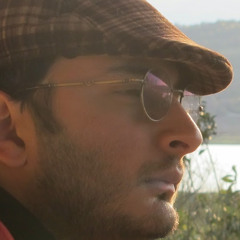 mohammadreza habibi