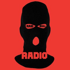 RAIDBULLRADIO