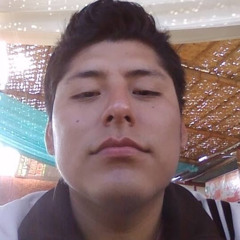 Jorge Dante Huanca M