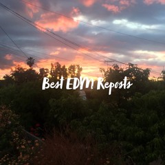Bst EDM Reposts