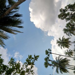hari