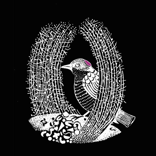 Bowerbird Collective’s avatar