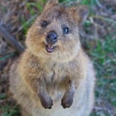 Nguyễn Hoàng Quốc Tài