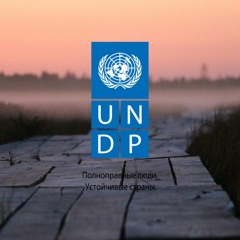 Программа развития ООН в Беларуси